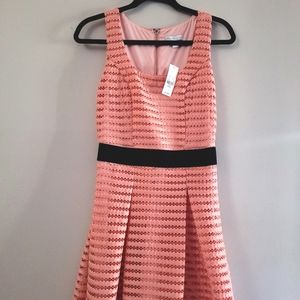 NY&C Dress NWT XS